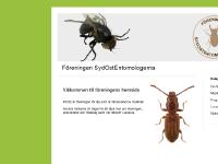 liten fsoe.se skärmbild liten fsoe.se skärmbild