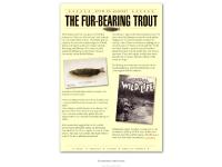 The Fur-bearing Trout - Myth or Marvel?