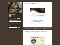 Fashionable Zazzle Daily