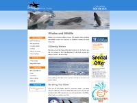 Whale watching and wildlife trips from Gairloch Scotland – Hebridean Whale Cruises