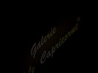 Galerie Le capricorne St-Paul de Vence Galerie Le capricorne St-Paul de Vence