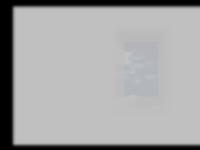 gallooplastics gallooplastics