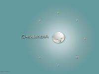 Bienvenue sur le site de Gammadia