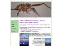 gardeborn.se gardeborn.se