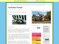 gardeningchannel.com Flowers, Flowers By Name, African Violets gardeningchannel.com Flowers, Flowers By Name, African Violets