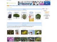 gardensandplants.com - gardensandplants gardensandplants.com - gardensandplants
