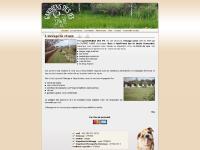 gardiens-des-ifs.com Accueil, Les géniteurs, Les chiots