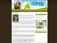 Les Gardien du Petit Ange - Elevage de Briards Fauves