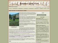 Organic Seed Garlic - Boundary Garlic, BC, Canada