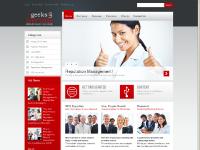 geeksonsteroids.com geeksonsteroids.com