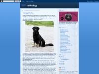  Nu är det vinter..., 21:28, 0 kommentarer, Träningshelg