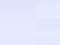 Généalogie Bath Friedmann