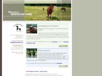 Horse Wisdom for Humans & Riding lessons - Generation Farms - Nanaimo, BC Canada