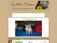 Gerbilles passion Gerbilles passion