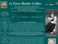 gforcebordercollies.com Border Collie puppies, Border Collie breeder, Border Collie stud