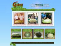 Giant Watermelons