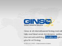 statistik för ginso - GINSO - Web & Domains - Global Interactive Solutions