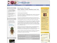 glaphyridae.com Your keywords, keywords, keywords glaphyridae.com Your keywords, keywords, keywords