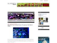 glassbox-design.com - glassbox-design