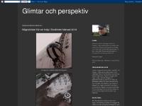 Glimtar och perspektiv