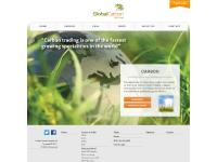 Global Carbon Options
