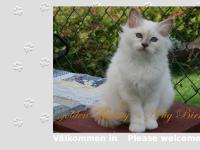 Welcome to Golden Beauty Welcome to Golden Beauty