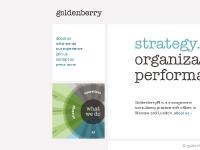 Goldenberry | Management consulting practice in Poland Goldenberry | Management consulting practice in Poland