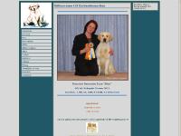 statistik för goldenfavourites - Goldenfavourites