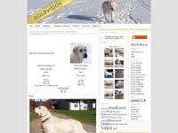 goldenretrieverkennel.se Hundar, Tidigare hundar, Valpar goldenretrieverkennel.se Hundar, Tidigare hundar, Valpar