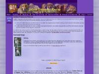 Adopting, Success Stories, FAQ's, Adopt a Golden Adopting, Success Stories, FAQ's, Adopt a Golden