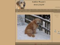 liten goldenwizards.se skärmbild liten goldenwizards.se skärmbild