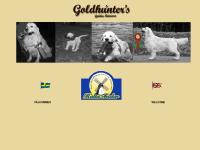 goldhunter's