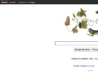 google.az Şəkillər, Giriş, Seçimlər
