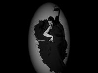 liten goteborgcentrodeflamenco.se skärmbild liten goteborgcentrodeflamenco.se skärmbild