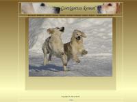 gottigottas golden retriever gottigottas golden retriever