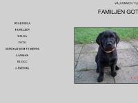  FOTO, HUNDAR SOM VI MINNS