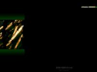 Graphic Pen Graphic Pen