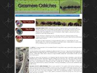 Ostrich Leather Products - Grasmere Farm - Eastern Cape - South Africa