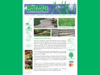 grassrootslandscapinginc.com mum, mums, chrysanthemum grassrootslandscapinginc.com mum, mums, chrysanthemum