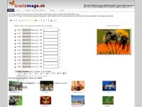 GratisImage.dk - Gratis image og billed upload host service - upload billeder