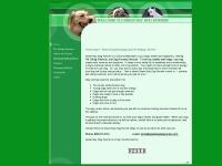 Green Bay Dog Runner Green Bay Dog Runner