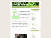 Green with Envy, Riddled with Guilt Green with Envy, Riddled with Guilt