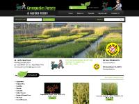 Plants for Sale Online, Australian Native Grasses & Plants - Buy From Greenparkes Garden Centre & Wholesale Nursery Plants for Sale Online, Australian Native Grasses & Plants - Buy From Greenparkes Garden Centre & Wholesale Nursery