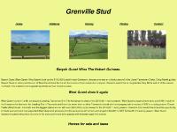 grenville.com.au Stallions, Racing, Photos grenville.com.au Stallions, Racing, Photos