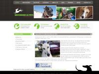 greyhoundsaspets.com.au