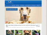 Greyhounds As Pets