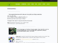 visa gronadrakenstockholm.se data