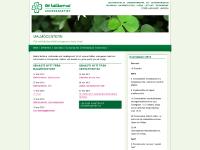 liten gronliberal.se skärmbild