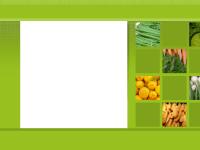 groupeblachere.biz - groupeblachere