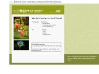 guldhjartat.se PRESENTATION, COACHING, UTVECKLING guldhjartat.se PRESENTATION, COACHING, UTVECKLING